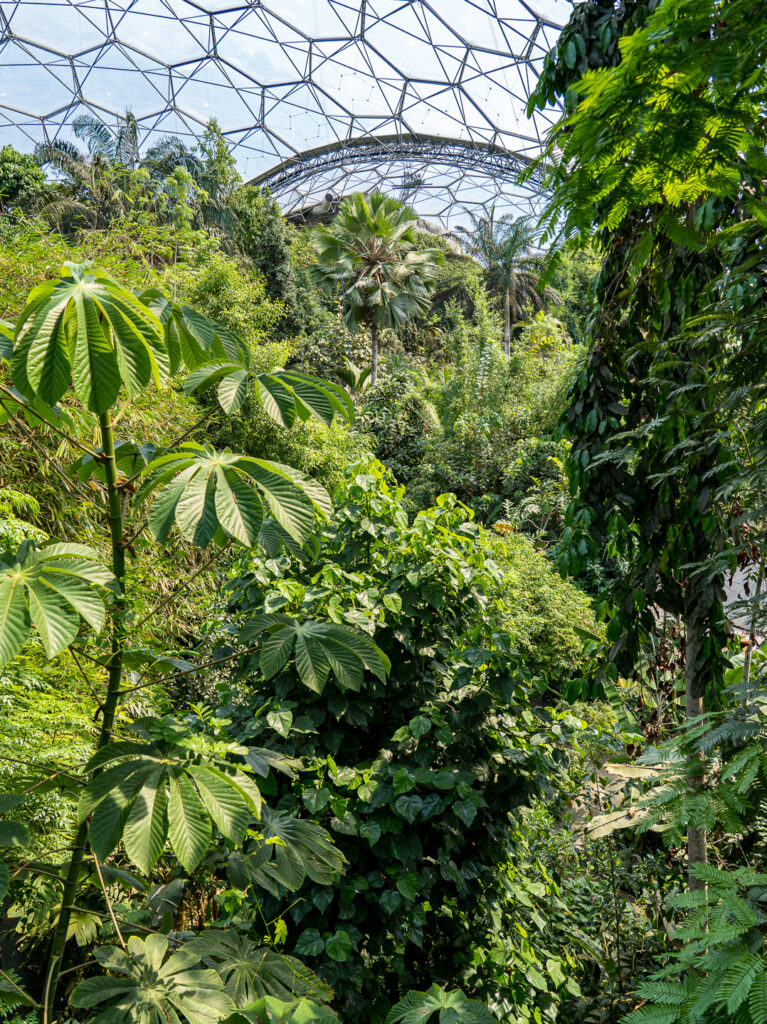 Eden Project