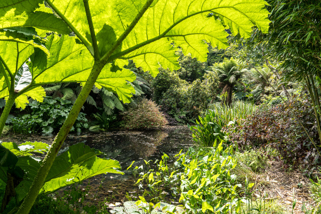 Lost Gardens of Heligan