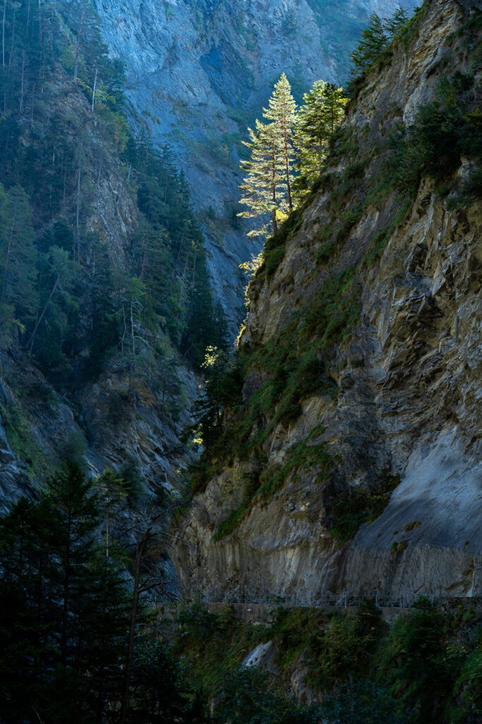 Tamina Schlucht