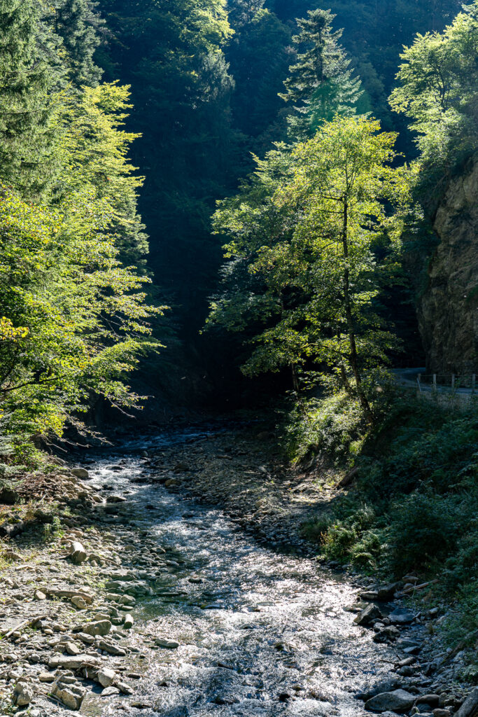 Tamina Schlucht